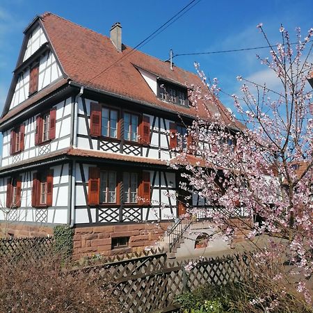 Appartement Et Terrasse Privee Ingolsheim Exterior photo